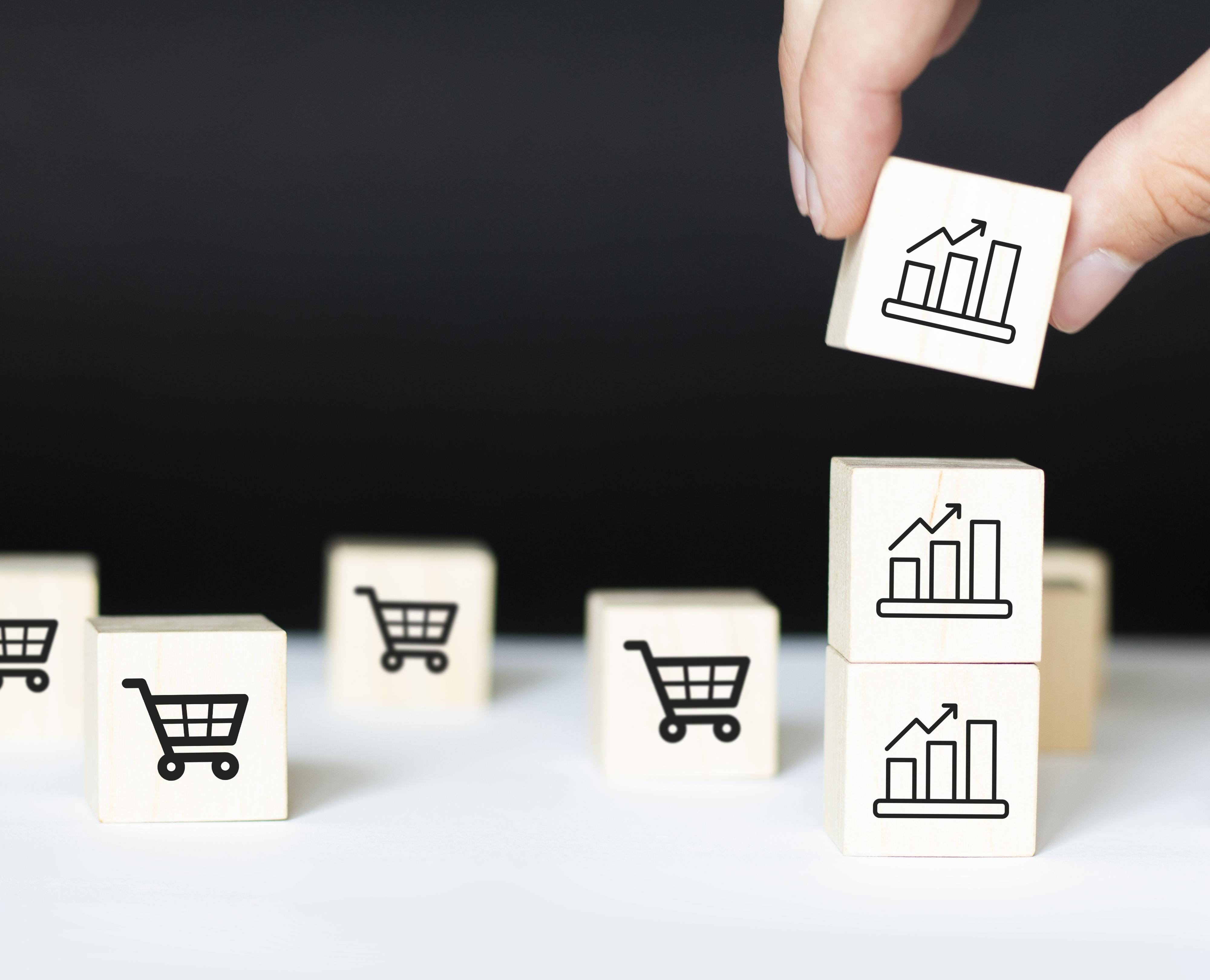 Dashboard analitica di Elitebrandnetwork con grafici di crescita e automazione ecommerce